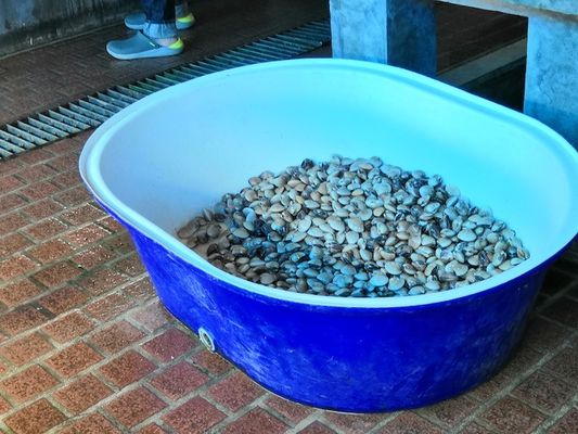 Hdpe  LLDPE Rota Mold For Fish Pond Aerator