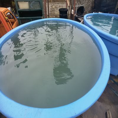 High Performance Water Tank Mould for 50℃ Temperature Application