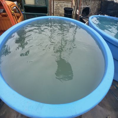 Customized 2mm Septic Tank Forming Mould for Application