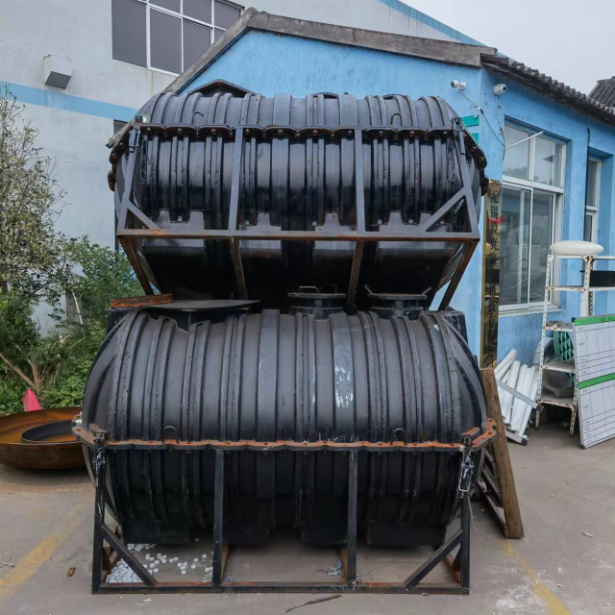 Septic Tank Mold